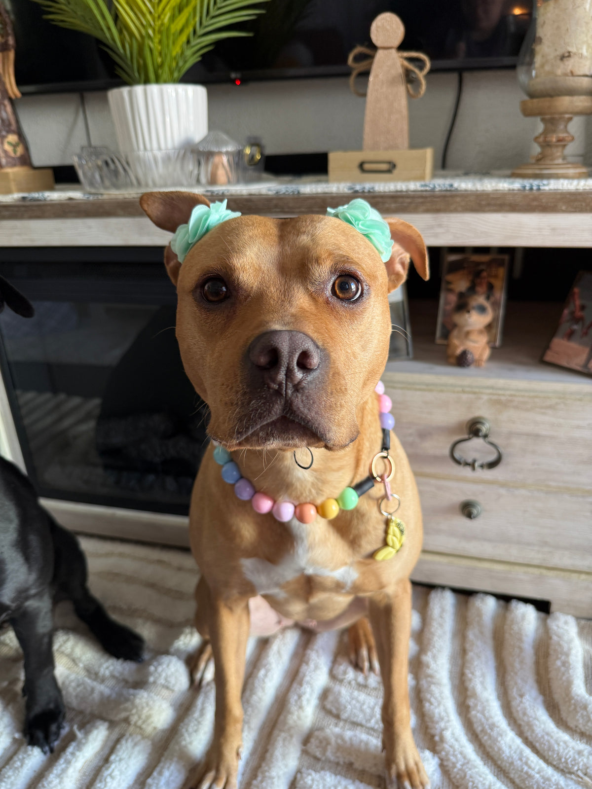 Mint Green Florets Ears