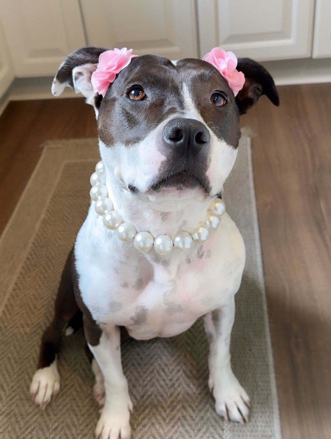 Bubblegum Pink Florette Ears