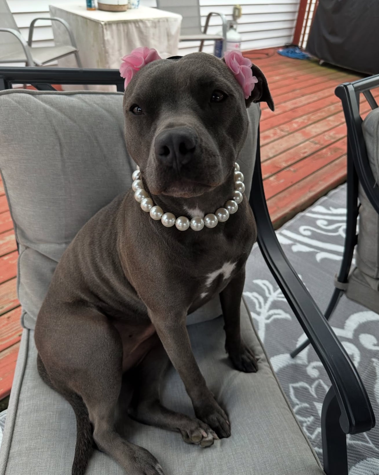 Bubblegum Pink Florette Ears