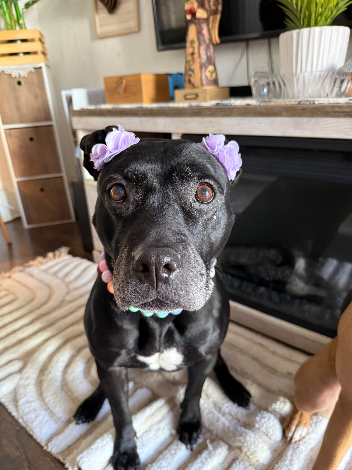 Lilac Florets Ears